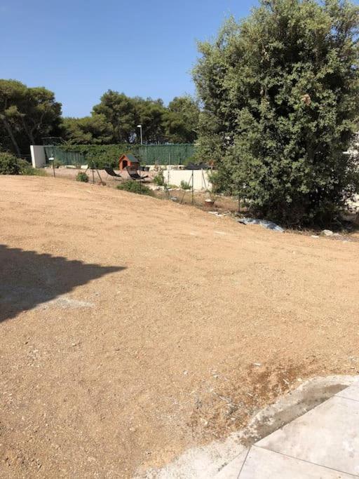 Neuve Avec Piscine * Bonifacio (Corsica)